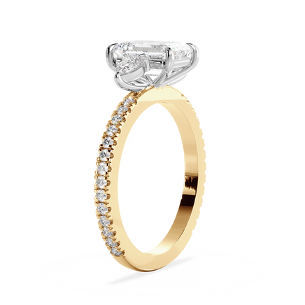 Base Ring - 080400001203110600000000