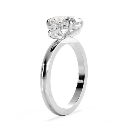 Base Ring - 080600000101030000000000