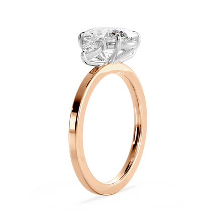 Base Ring - 080600001102040000000000