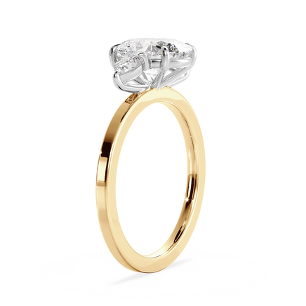 Base Ring - 080600001202040000000000