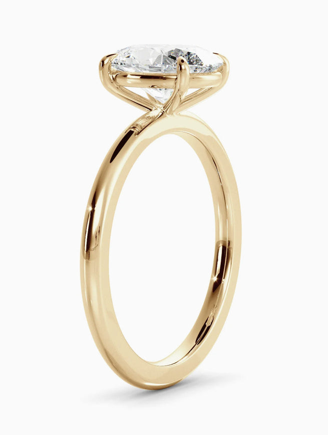 Atelier Process Test Ring