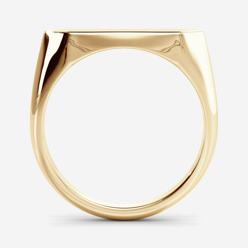 Slim Shield Signet Ring