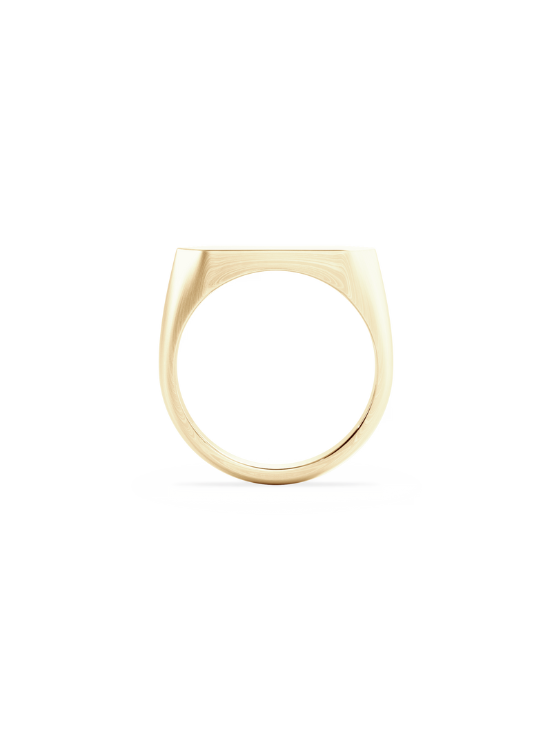 Slim Shield Signet Ring
