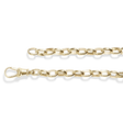 Oval Belcher Chain