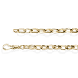 Bold Oval Belcher Chain