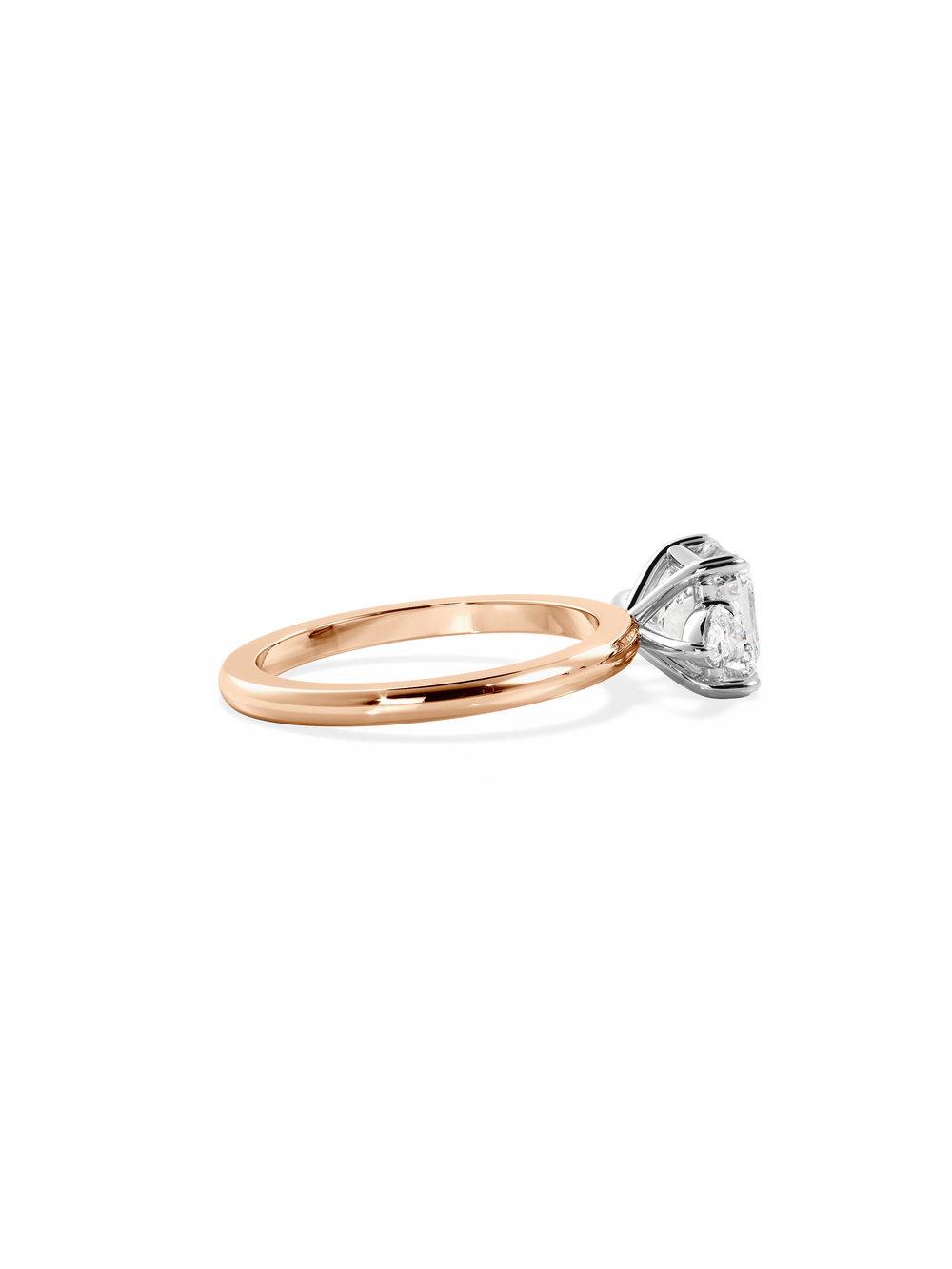 Asscher Amira - View 