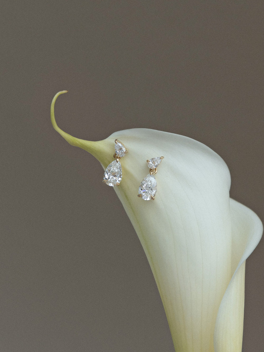 Ivy Statement Drop Earrings - View 