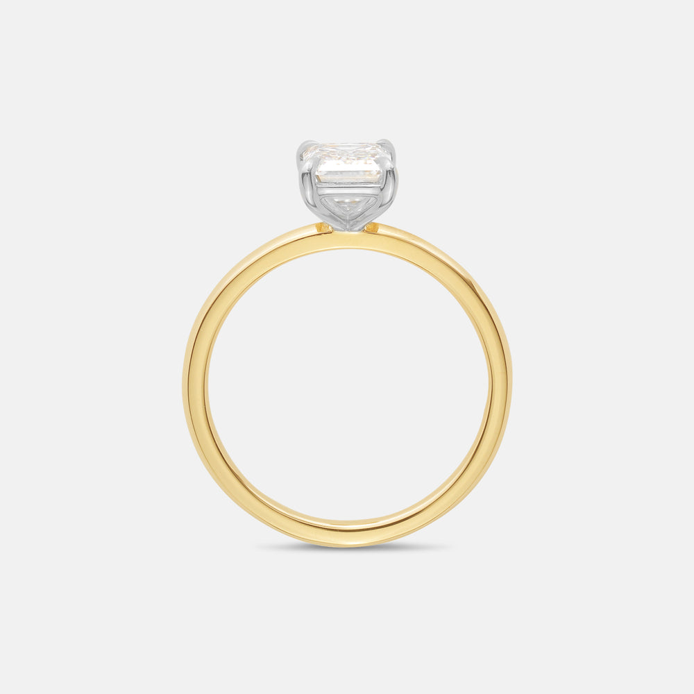 Optional Upgrade: Two-Tone - View 