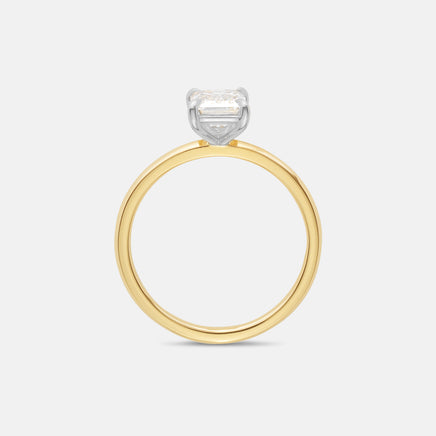 Optional Upgrade: Two-Tone