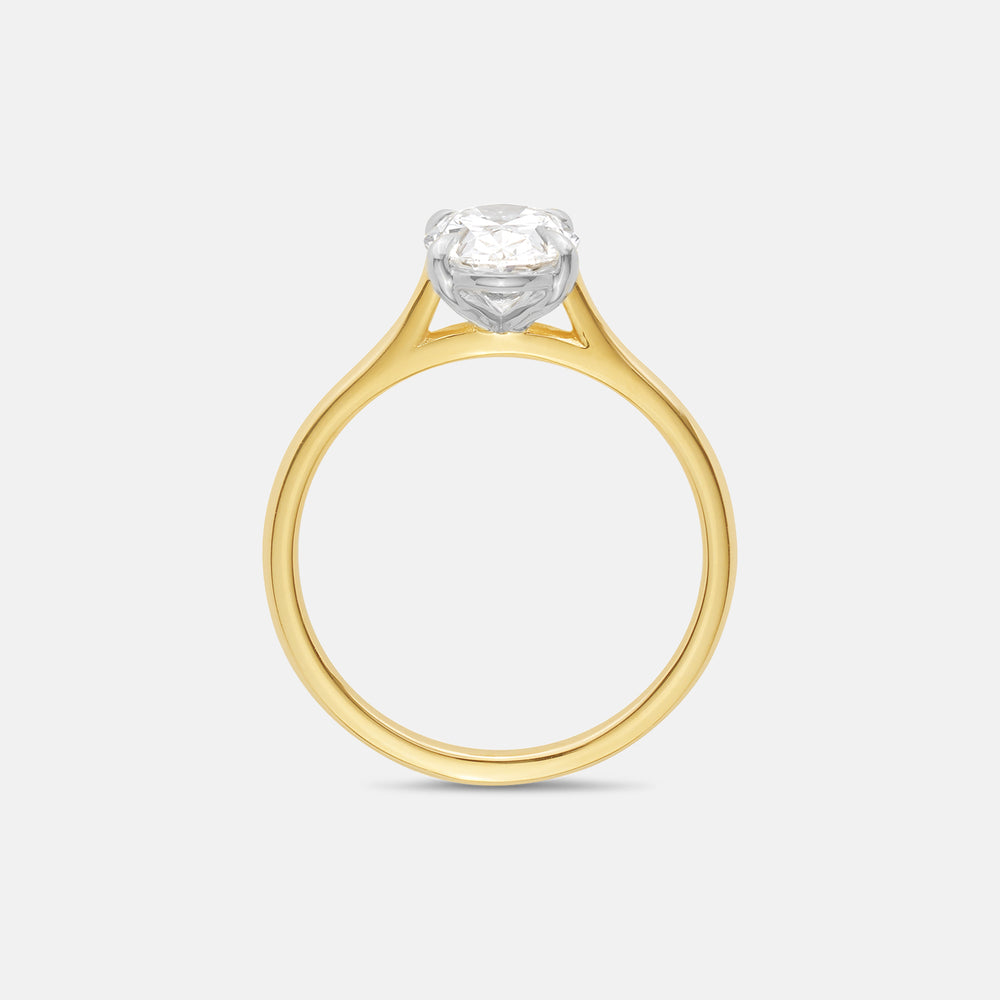 Optional Upgrade: Two-Tone - View 